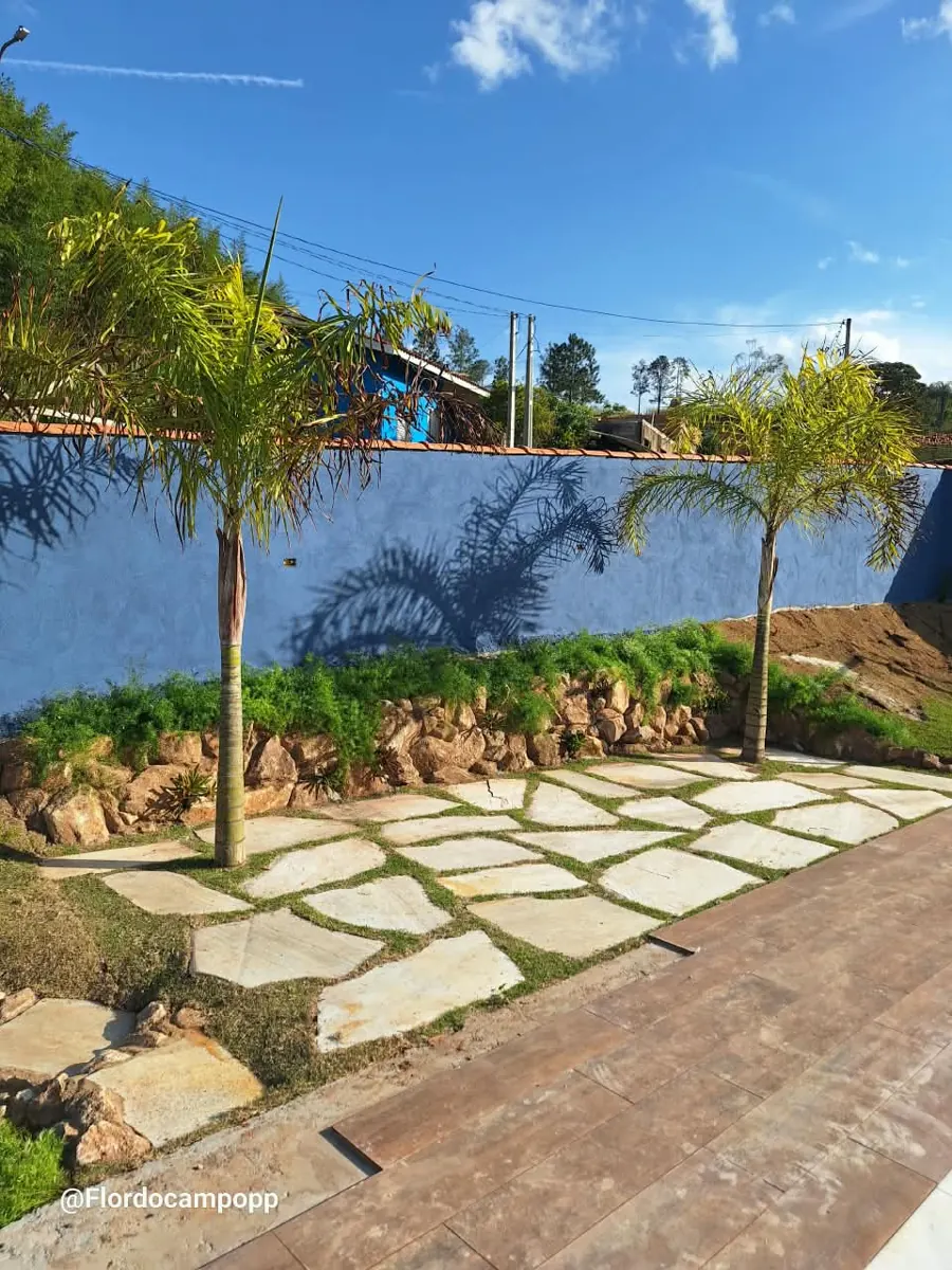 Caminho de pedras sobre grama ao lado de muro de pedra e palmeiras