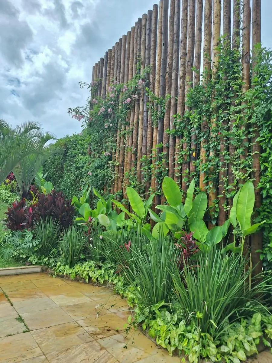 Cerca de eucalipto tratado coberta por trepadeiras com jardim tropical