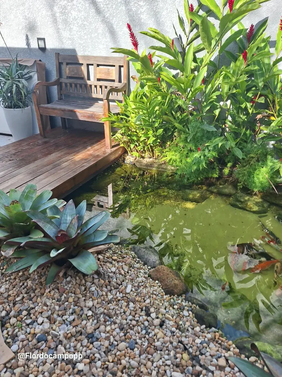 Lago com peixes ao lado de deck de madeira, banco e plantas com flores vermelhas