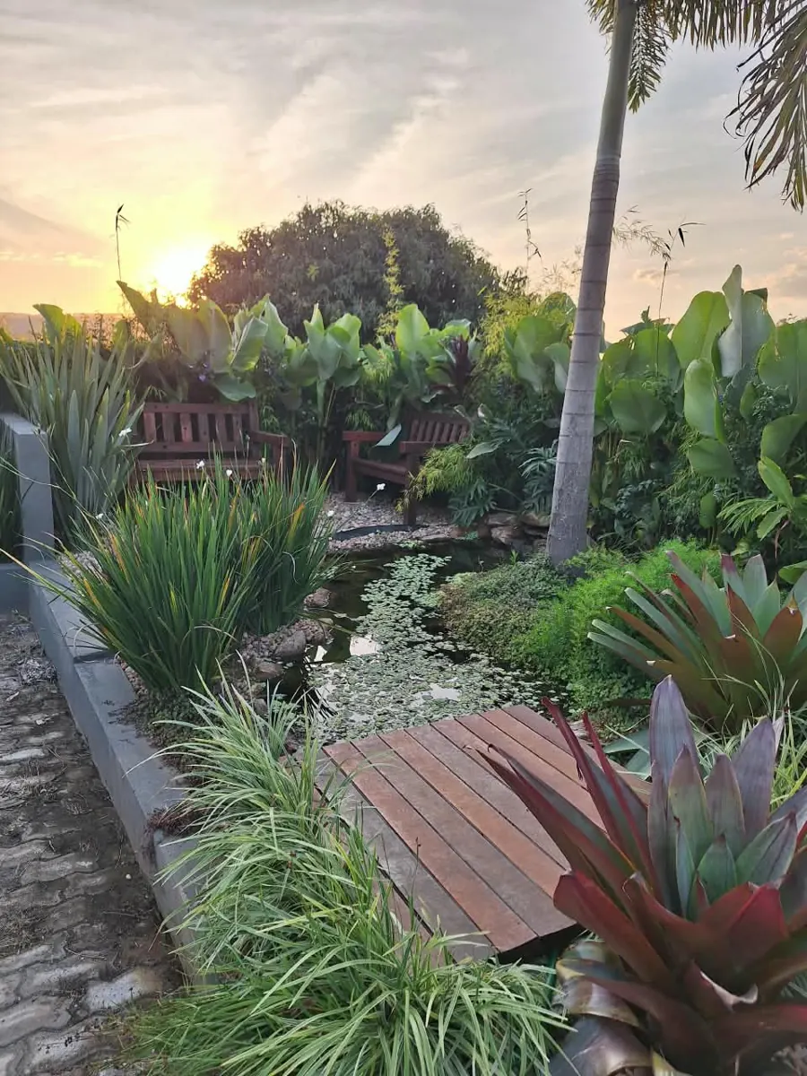 Lago com ponte de madeira, bancos e plantas ao pôr do sol